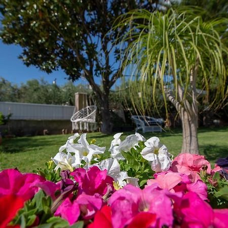 Le Jardin Διαμέρισμα Καλαμάτα Εξωτερικό φωτογραφία
