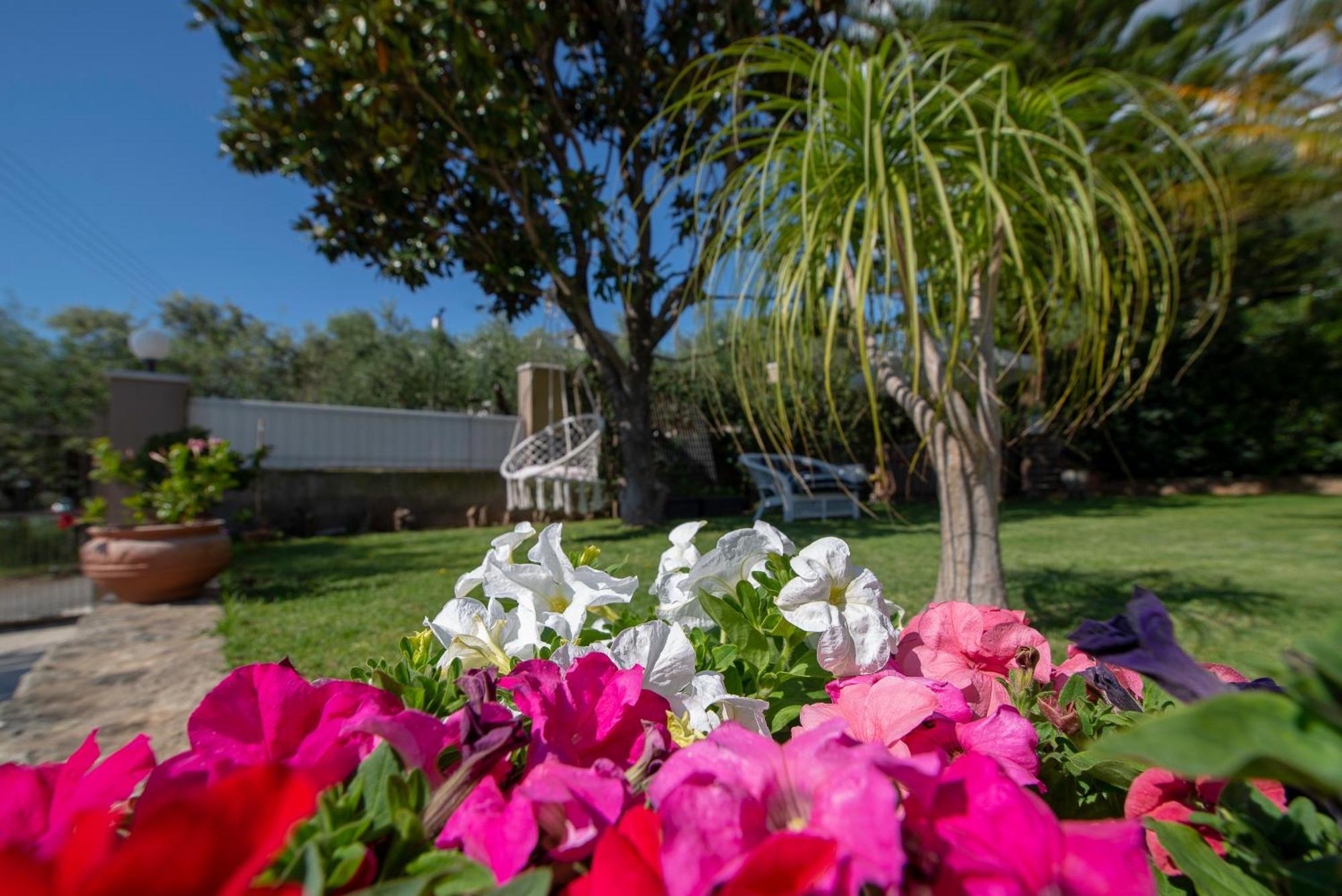 Le Jardin Διαμέρισμα Καλαμάτα Εξωτερικό φωτογραφία